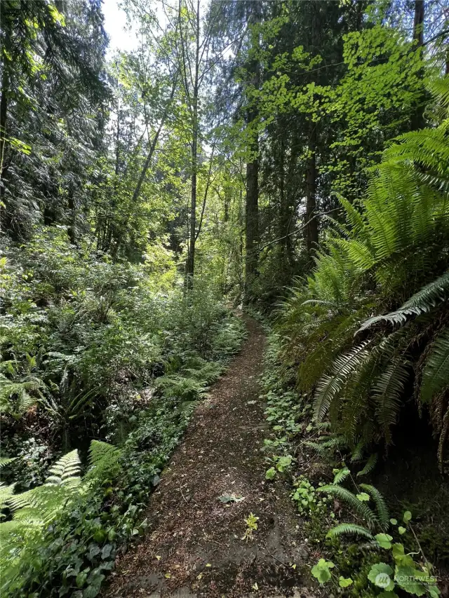 Beautiful walking trail to community waterfront