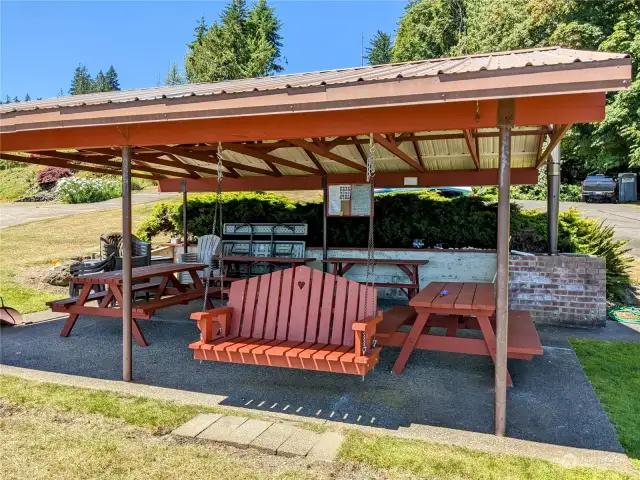 Perfect place to swing and take in Mt. Rainier.