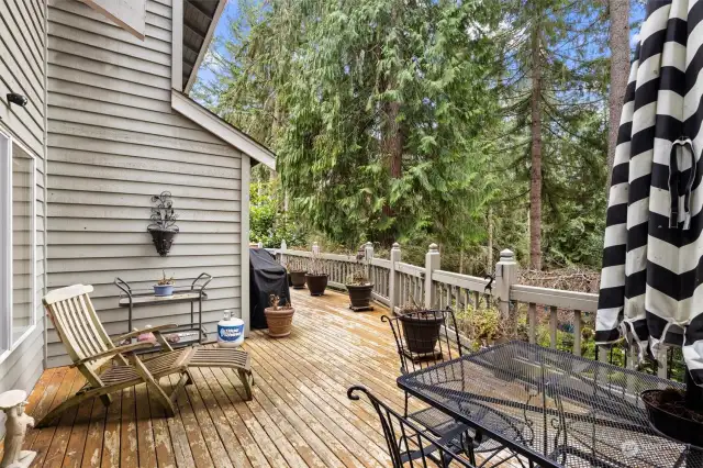 70 Foot Deck with Ample Dining Space & Park View