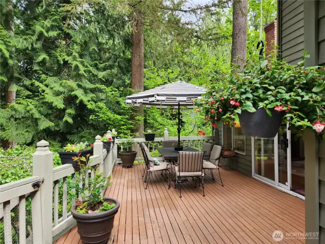 70-Foot Deck Feels like a tree house