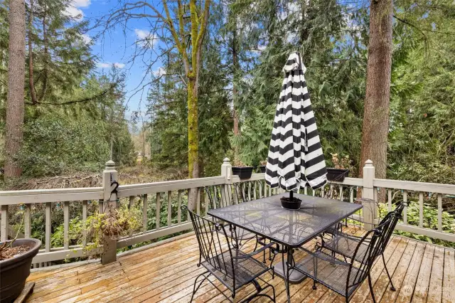 Deck with Ample Dining Space & Park View