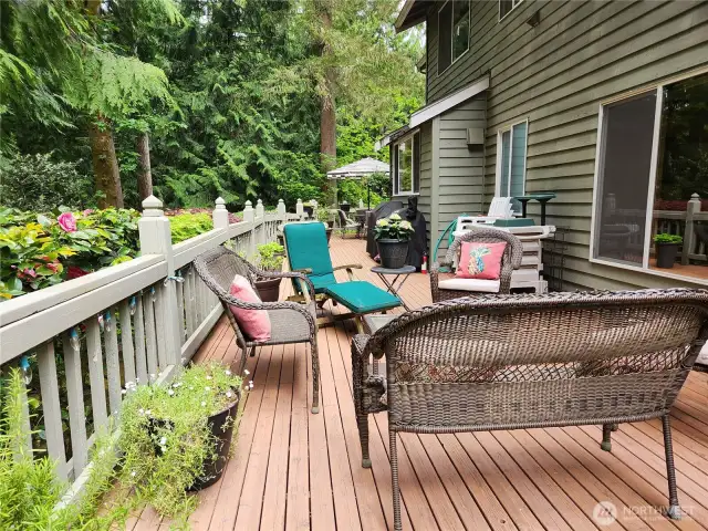 Deck is a great place for toddlers to paly.