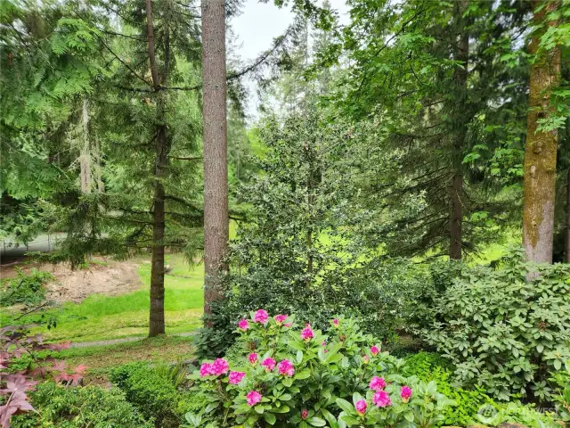 View of 6 acre park