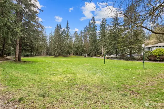 Park: Soccer Field, Baseball & Volleyball