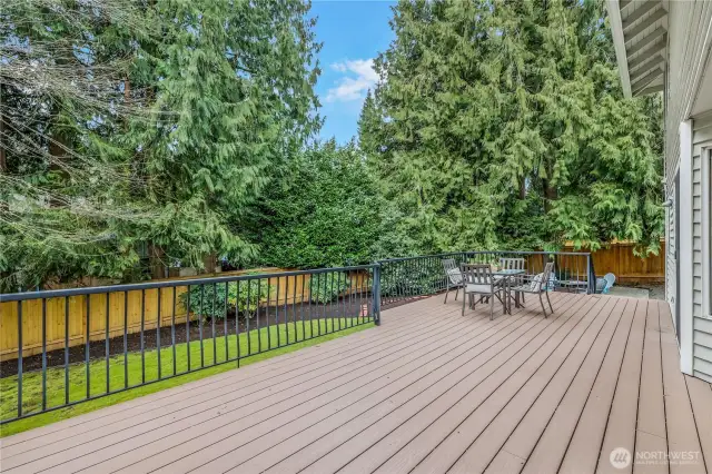 A wider perspective showcases the generous size of the deck, perfect for hosting gatherings or enjoying quiet moments in nature. Towering evergreens create a natural privacy screen, enhancing the peaceful atmosphere.