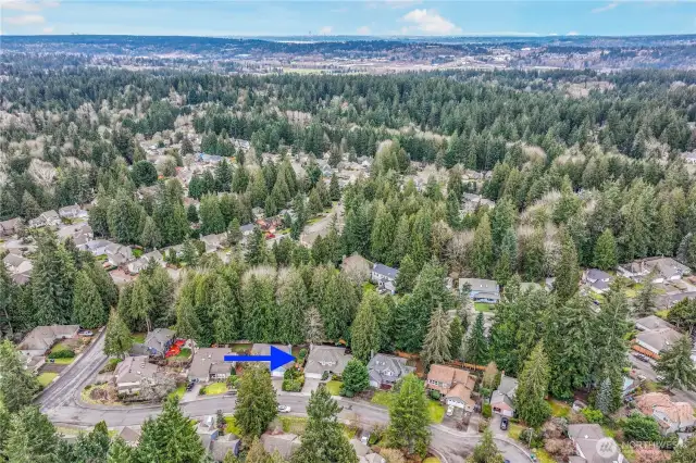 An expansive aerial shot captures the beauty of the English Hill neighborhood, surrounded by greenery and nestled near top tech employers like Microsoft, Google, and Meta. This peaceful, tree-lined community offers a perfect blend of suburban charm and urban convenience.