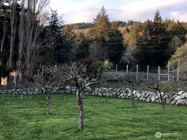 Property includes a beautiful and prolific orchard. Harvest basket after basket of delicious fruit annually.