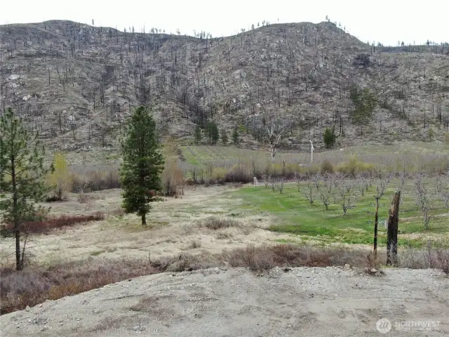View up valley