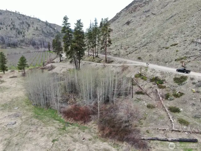 Property extends into aspen grove