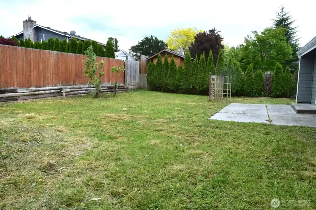 Fruit trees and so much space!