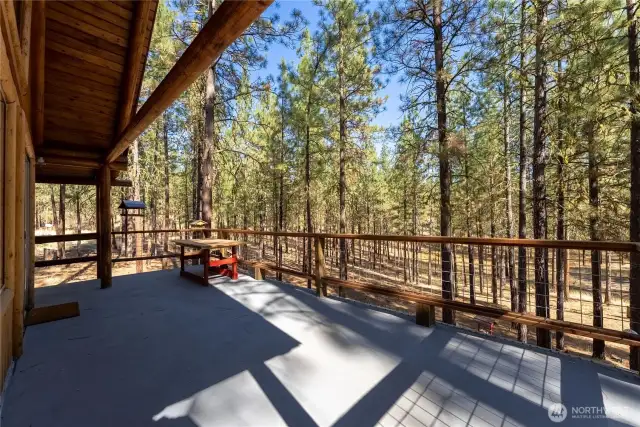 Great Deck