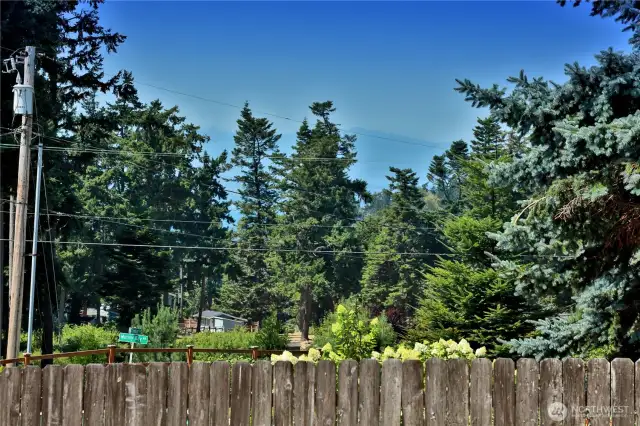 A glimpse of the Olympic Mountains from your front yard! A reminder of why living on Whidbey is truly the best!