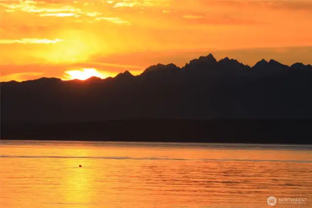 Spectacular sunsets over the Olympic Mountains!