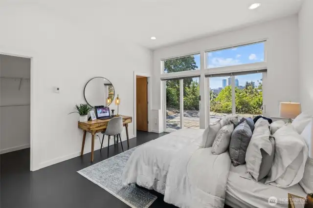 Lower level bedroom has a walk-in closet and tons of great natural lighting.