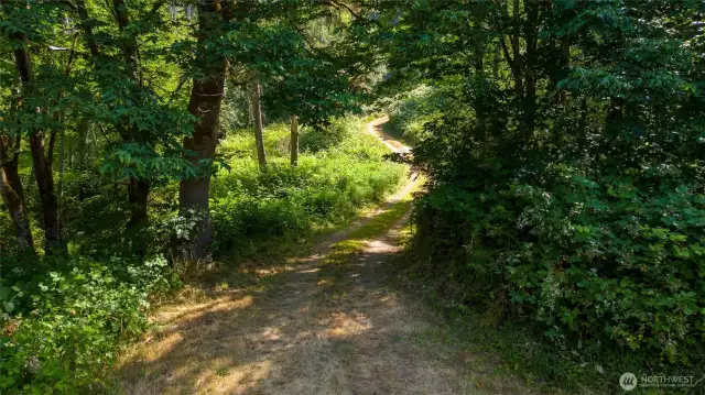 The driveway up to the Yurt