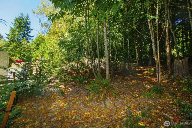 Additional back of property that has preliminary lot subdivision approval