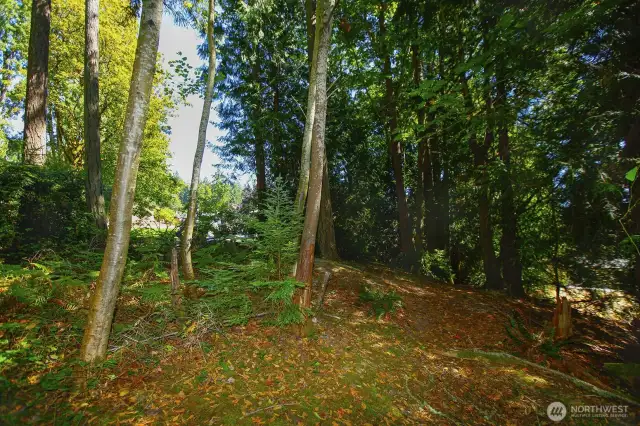 Additional back of property that has preliminary lot subdivision approval