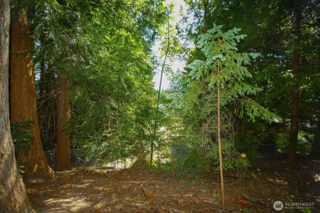Additional back of property that has preliminary lot subdivision approval
