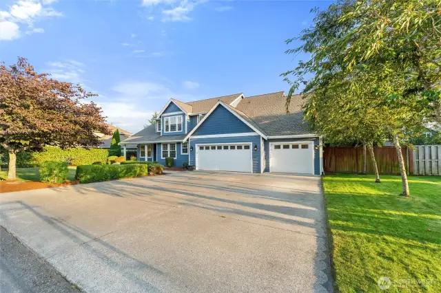 Trees on both sides of the home and driveway.