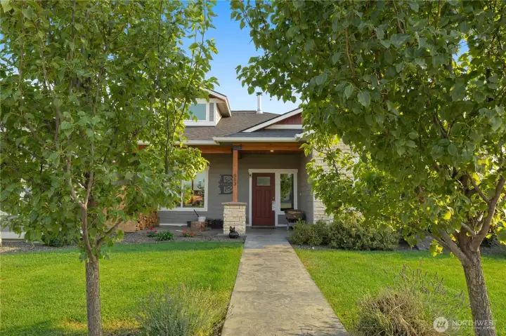 Beautiful mature landscape