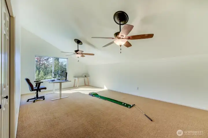 Awesome bonus/5th bedroom offers great entertainment space and stunning mountain views on nice days.