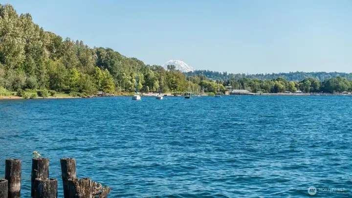 Coulon Park and schools