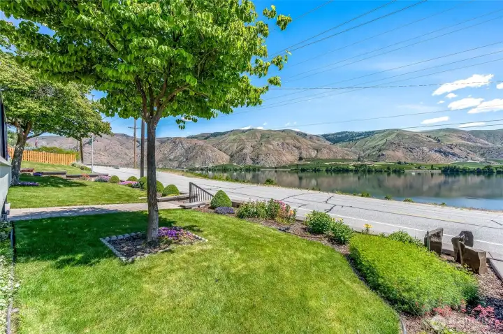 Front yard