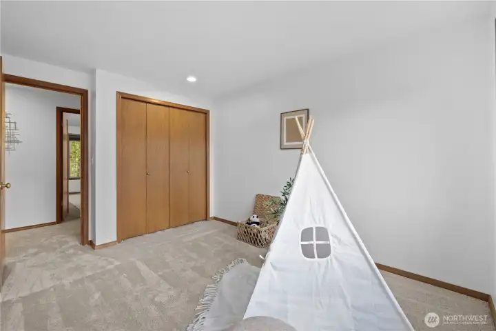 Brand new carpet (2026)