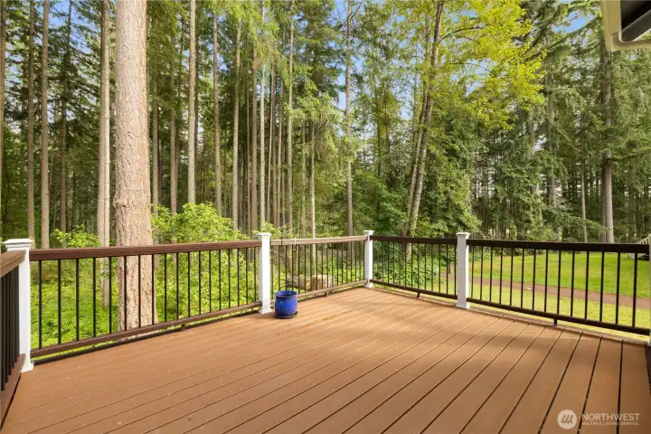 Spacious back deck with tons of privacy