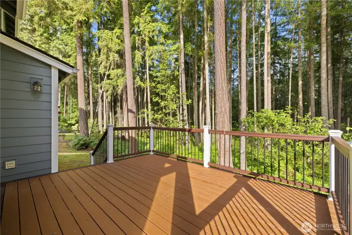 Deck faces private wooded area