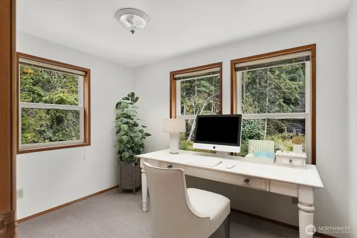 3rd Bedroom (Virtually Staged)