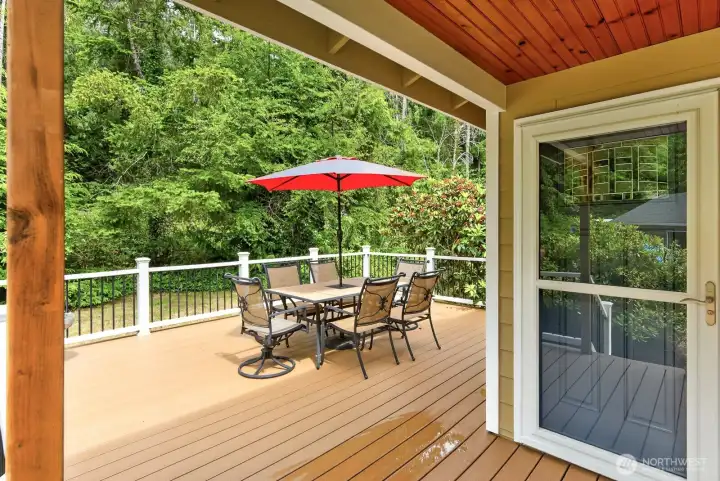 Deck for Entertaining
