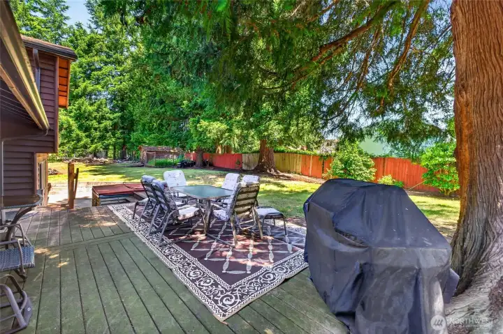 Large entertainment sized deck and patio with hot tub.