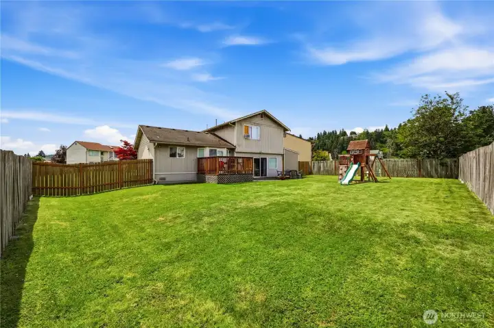 Fenced back yard