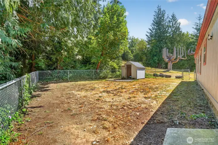 Fenced backyard