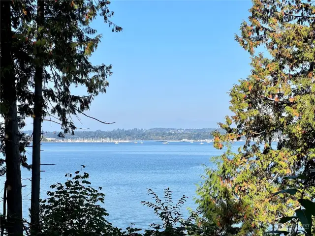 View of Semiahmoo marina from the road