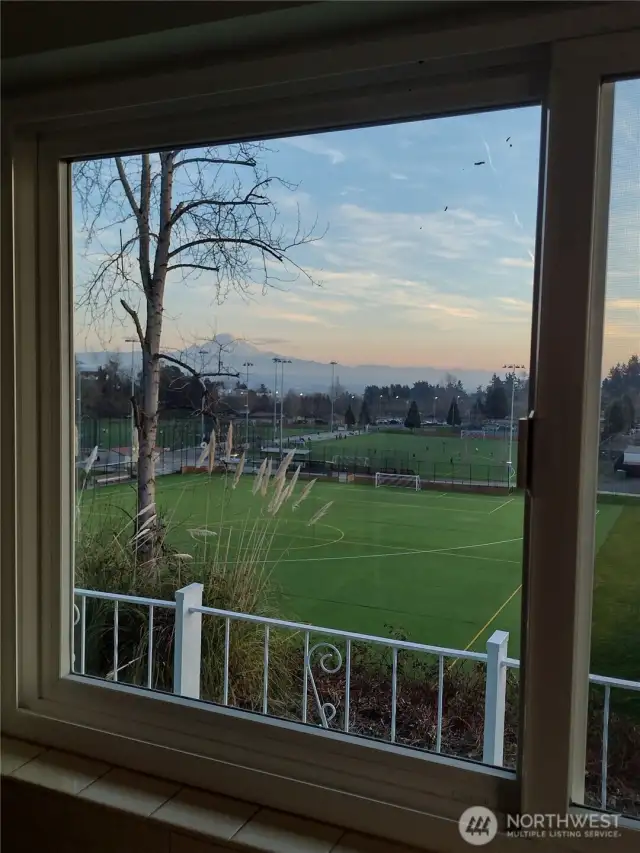 View from the living room