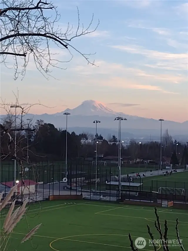 View from the deck
