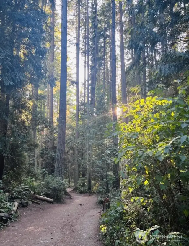 Enjoy easy access to nature trails at nearby Meadowdale Beach Park (two blocks away).