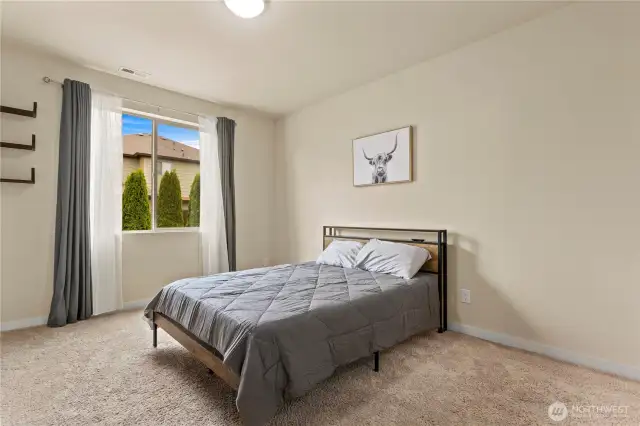 Downstairs Bedroom