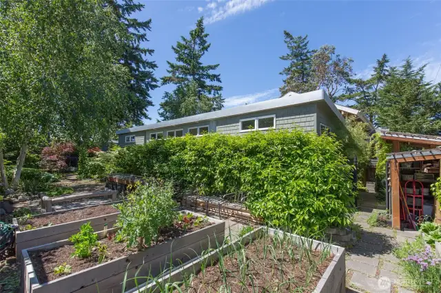 Vegetable garden beds