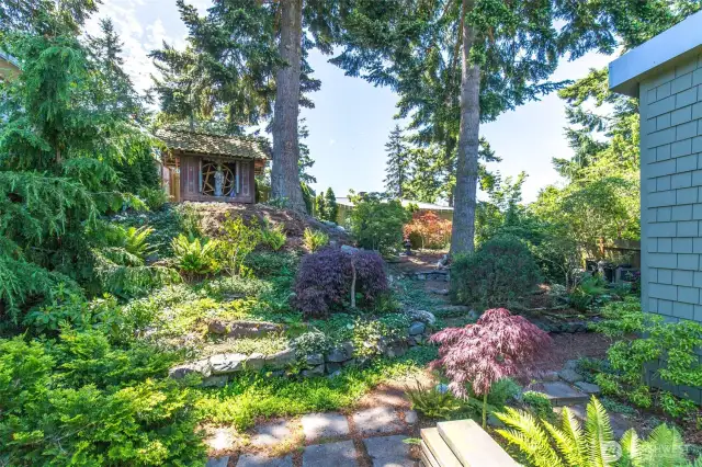 Yard view of Tea house