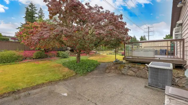 Fully fenced for privacy and peace of mind, this yard has it all—lush green space for outdoor fun, plus a separate concrete area that’s BBQ-ready and made for entertaining