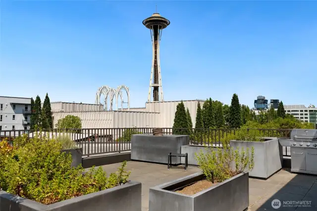 rooftop deck