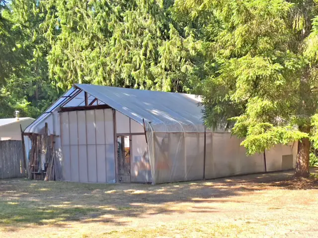 Shop/greenhouse