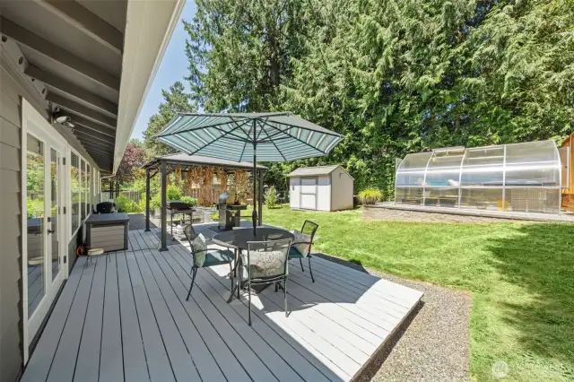 Inviting back yard