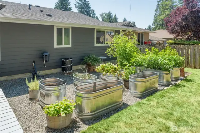 Raised garden beds!