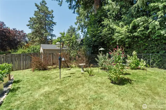 Spacious back yard has fruit trees