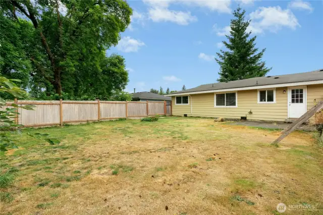 Backyard