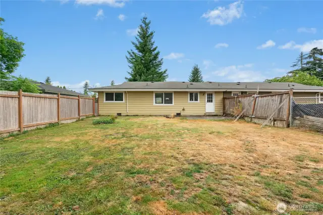 Backyard